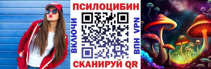 omg tor  Красный Кут  Псилоцибиновые грибы GOLDEN TEACHER 