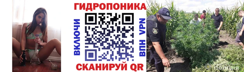 купить даркнет состав МАРИХУАНА Amnesia Красный Кут